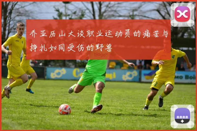 乔亚历山大谈职业运动员的痛苦与挣扎如同受伤的野兽